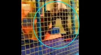 4月6日网友爆料视频,4月6日惊人视频内容揭秘